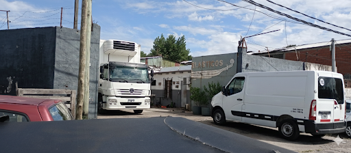 Planta Tigre